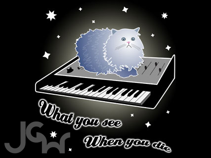 Cat On A Keyboard In Space